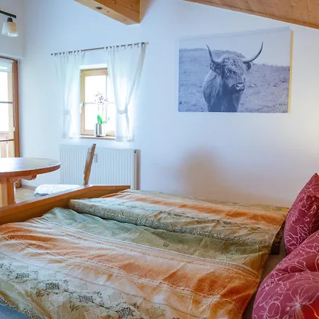 Apartament Inka
